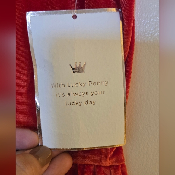 Red Velvet Short Sleeve Dress Sz 12 - Picture 4 of 7